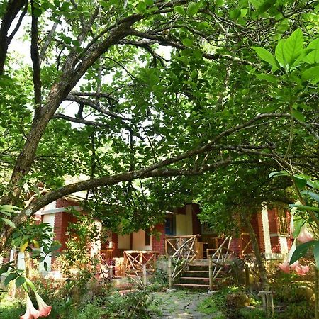 Bison Woods Hotel Yercaud Exterior photo