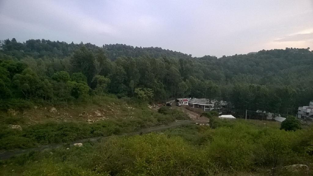 Bison Woods Hotel Yercaud Room photo