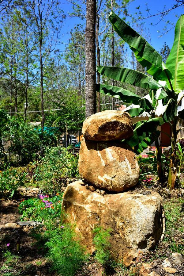 Bison Woods Hotel Yercaud Exterior photo
